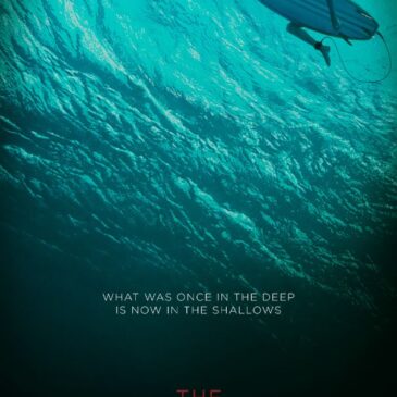 The Shallows features a lively Blake, shark, and seagul