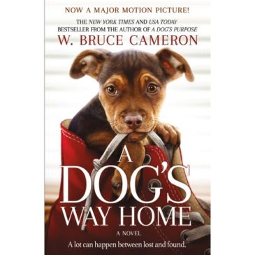 A Dog’s Way Home movie review