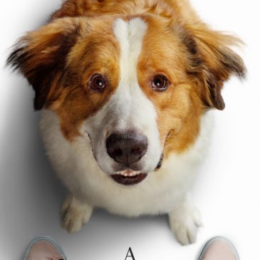 A Dog’s Journey movie review