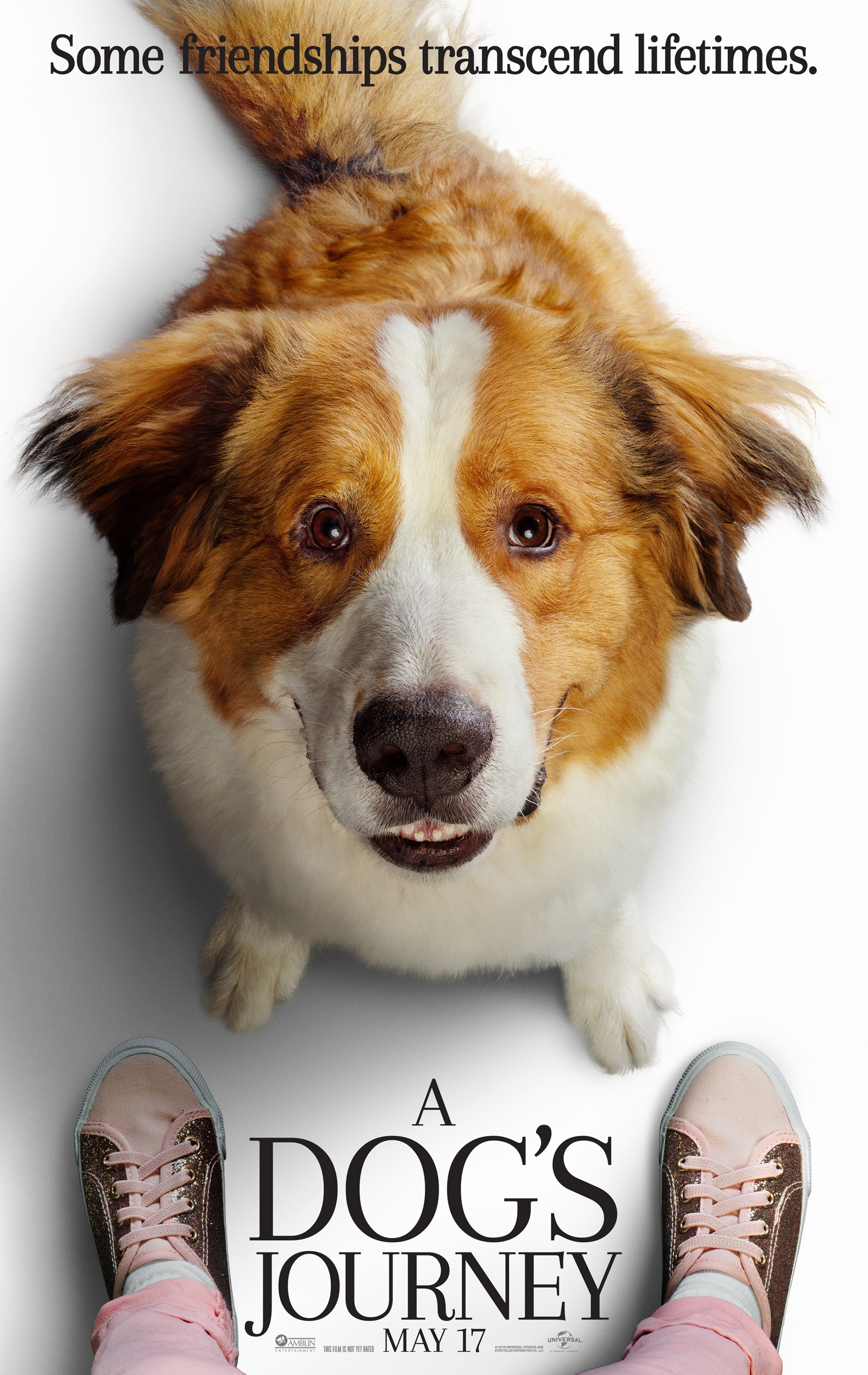 a dog's journey movie review