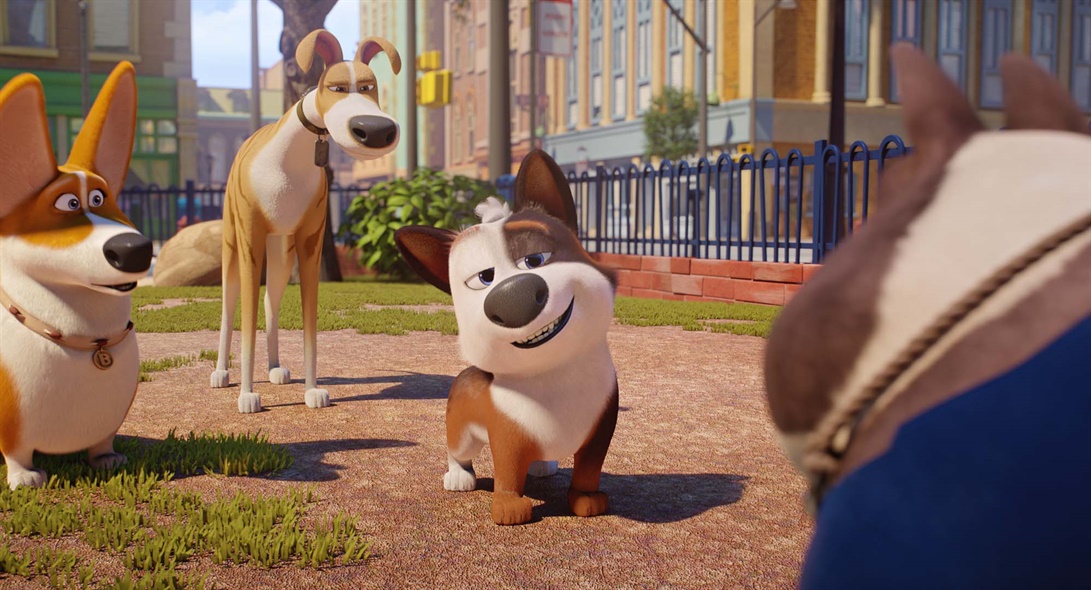 Dog Gone Trouble Movie Review 2021 Movie Review Mom Dog Gone Trouble Movie Review 2021 Movie Review Mom