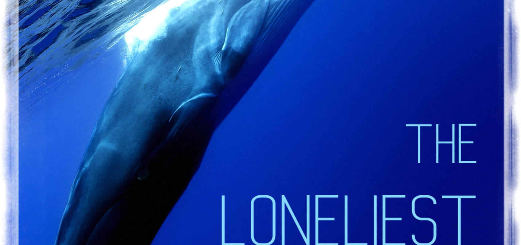 The Loneliest Whale: The Search For 52 Movie Review – Movie Review Mom