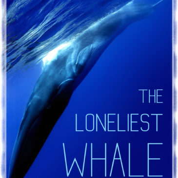 The Loneliest Whale: The Search for 52 movie review