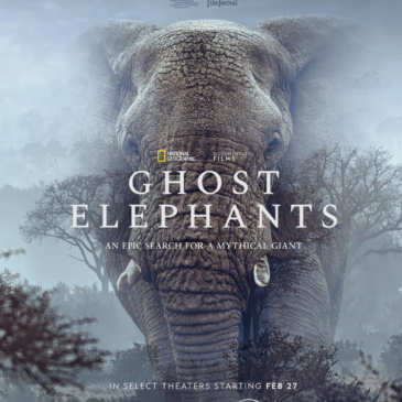 Ghost Elephants movie review by Movie Review Mom